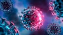 New pandemic before July?