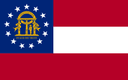 GA-01 House Election Winner