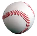 MLB World Series Champion 2026