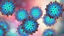 Measles cases in U.S. before 2026?