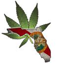 Will Florida legalize weed?