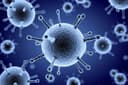 Flu Hospitalization Rate Week 4, 2026?