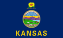 Kansas Democratic Senate Primary Winner