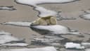Min Arctic sea ice extent this summer?